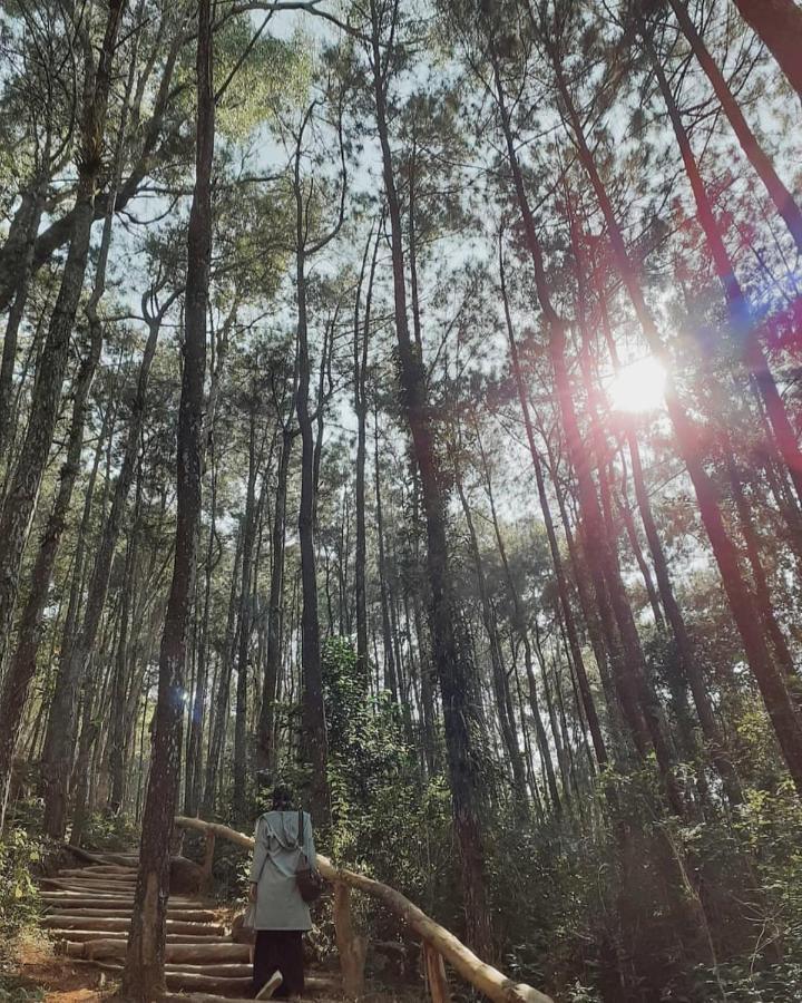 Seribu Batu Songgo Langit Resort & Camp Bantul Exterior foto